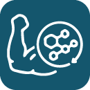 Regolazione metabolica icon